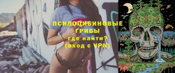молекула духа Алзамай