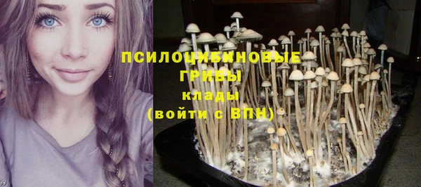 трава Алексеевка
