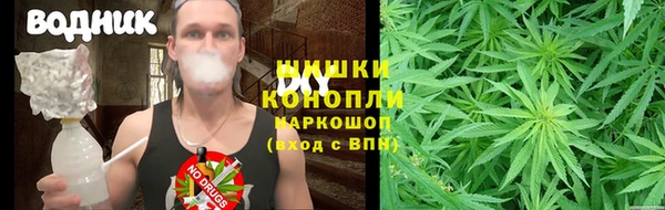 молекула духа Алзамай