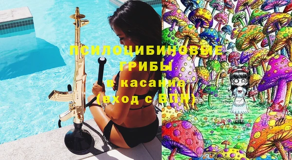 молекула духа Алзамай